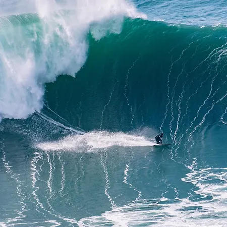 Casa Da Alegria Boutique Guest 5* 卡尔达斯达·赖尼亚