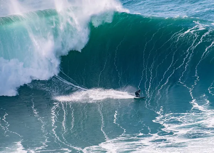 Casa Da Alegria Boutique Guest 5* 卡尔达斯达·赖尼亚